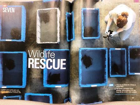 2019.09.03 (6) Reading and Vocabulary Unit7 Wildlife Resuce.JPG