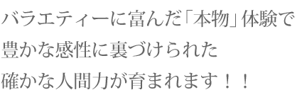 時代に即応した「新しき伝統」を日々創り上げてゆく。熱い風の吹く学園です!
