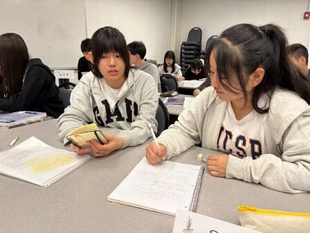 2025.07.11 (2) Test Strategies and Practice ペア情報の整理.jpg