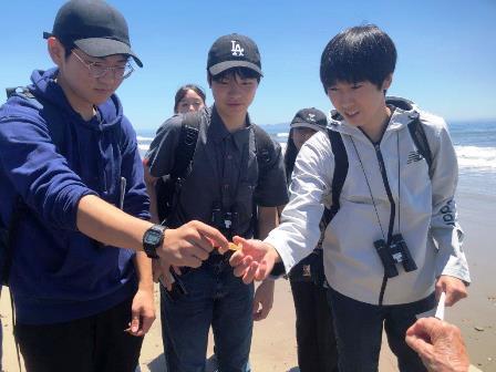 2023.07.13 (6) Class 1 Writing Project (Coal Oil Point) Pyrosome（ヒカリボヤ）発見！.jpg