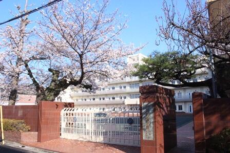 桜01.JPG