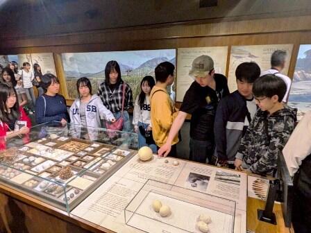 2026.02.27 (5) ハチドリの卵の大きさにびっくり.jpg