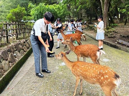 中2京都05.JPG