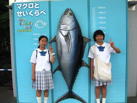 中1ディズニー06.JPG